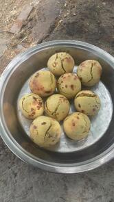 Jogniya Dal Bati Center