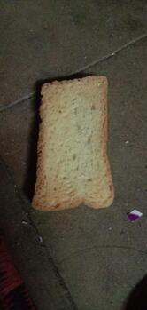 Shail foods &packaging pvt Ltd