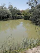 Turistična kmetija Klobas