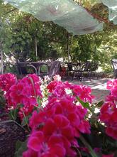 Café Restaurant des Boveresses