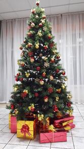 Сосновый бор