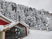 The Bridge - Global Cuisine Restaurant at Dalhousie