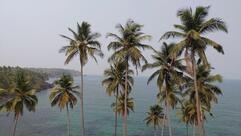 The Red Crab sea Food Restaurant