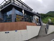 Cafe Here Now