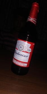 Aditya Bar & Restaurant