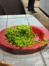 Chetan Family Restaurant