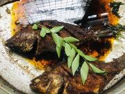 Kuttapayiz malampuzha