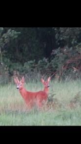 Uitspanning De Leuve Hoeve