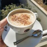 Hollywood Sport Café