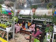 Saung Family Ria (Safaria)