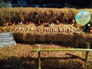 Caffè Diem, Maierato (VV)