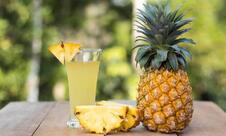 Revolution Refeições