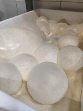 Pinseria la Sfiziosa