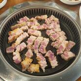 노란꽃돼지