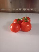 Strambalato Kebab & Pizza