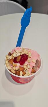 Myfroyoland Premium Frozen Yogurt