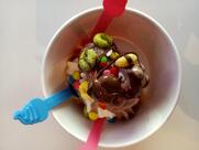 Myfroyoland Premium Frozen Yogurt