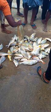 WATERFRONT RESTAURANT