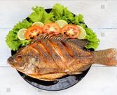 THE BIG TREE CAFE Sasaram