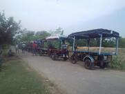 Free time snakes ,পান,বিস্কিট, চিপ্স, ট্রফি