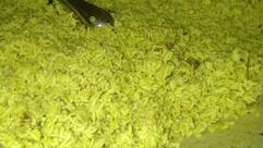 Aadhya Bar & Restaurant