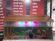 Hotel Vishal Veg and Non-veg