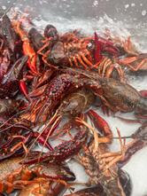 Pinch-N-Peel crawfish Drive-Thru