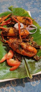 Manikudam Volga Family Restaurant