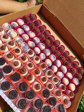 Karol Santos Confeitaria