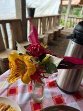 Paraíso Hildegard - Café Colonial