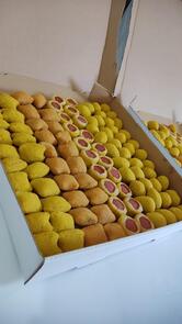 Salgatto - Doces e Salgados