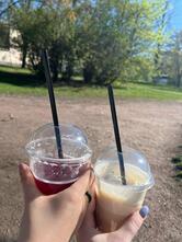 Хитрый Лис