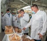 Злак