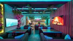 Мятный Енот