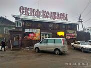 Скиф