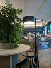 Skuratov Coffee