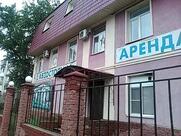 Хмельной мишка