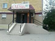 Оазис