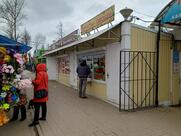 Тандыр