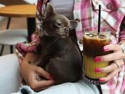 The Most Coffee