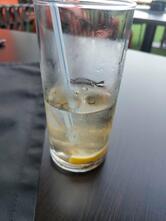 Zorka
