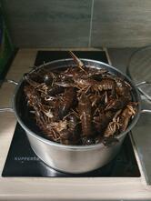 Пиво Раки
