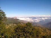 Tipsy Cafe & Restaurant