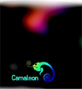 Camaleon Eventos e Formaturas