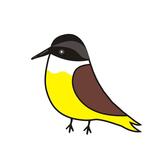 Bem-te-vi Restaurante Monte Aprazível SP