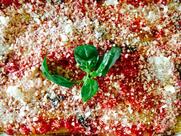 Lo Squalo (Ristorante, Pizzeria)