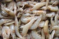 Jack Camarões e Frutos do Mar Teresina PI