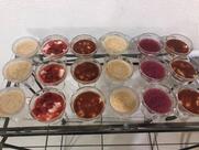 Restaurante Flor de Sal