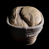 Materiaprima Osteria Contemporanea