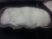 Gugas Panificadora e Confeitaria